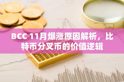 BCC 11月爆涨原因解析，比特币分叉币的价值逻辑