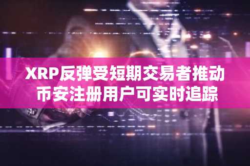 XRP反弹受短期交易者推动 币安注册用户可实时追踪链上数据