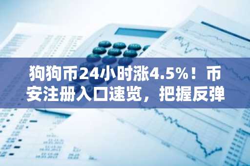 狗狗币24小时涨4.5%！币安注册入口速览，把握反弹机遇