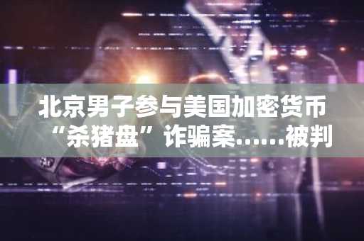 北京男子参与美国加密货币“杀猪盘”诈骗案……被判有期徒刑3年10个月