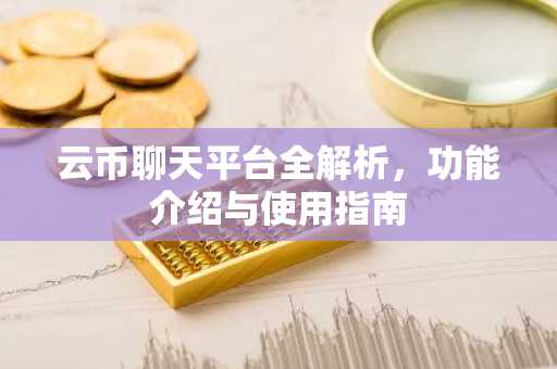 云币聊天平台全解析，功能介绍与使用指南