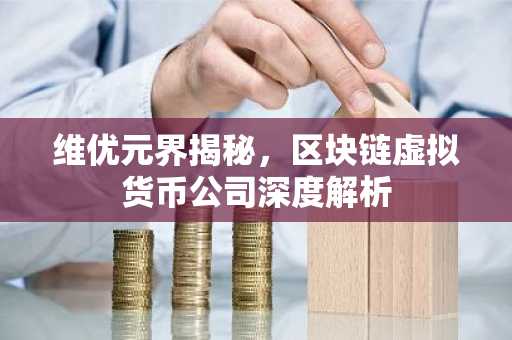 维优元界揭秘，区块链虚拟货币公司深度解析