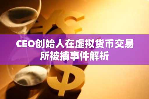 CEO创始人在虚拟货币交易所被捕事件解析