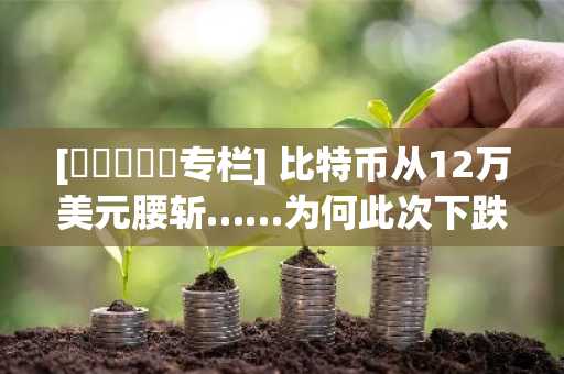 [토큰포스트专栏] 比特币从12万美元腰斩……为何此次下跌或成最大“真相时刻”