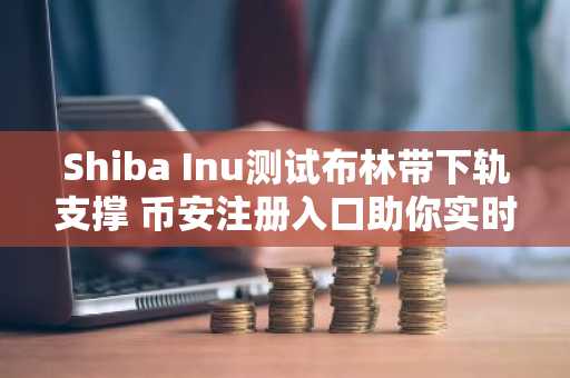 Shiba Inu测试布林带下轨支撑 币安注册入口助你实时追踪行情