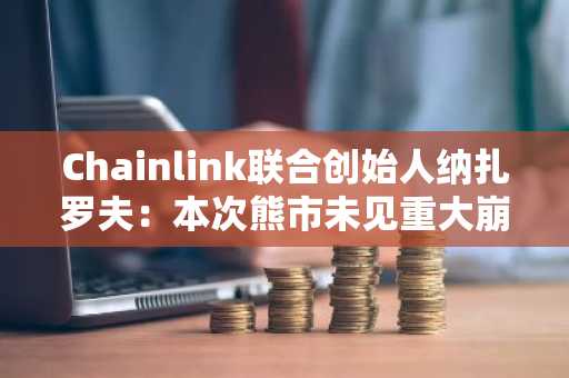 Chainlink联合创始人纳扎罗夫：本次熊市未见重大崩盘，有何不同？