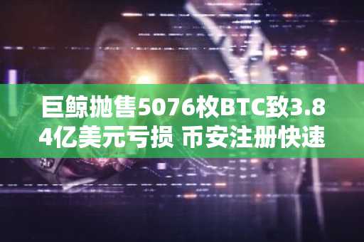 巨鲸抛售5076枚BTC致3.84亿美元亏损 币安注册快速入场应对波动