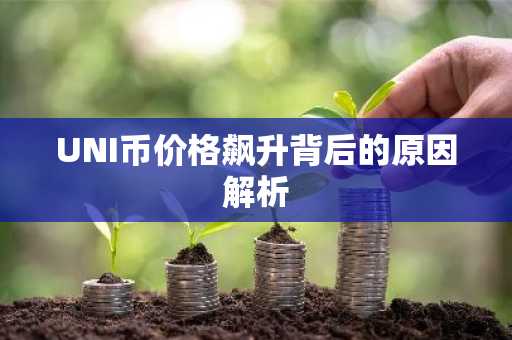 UNI币价格飙升背后的原因解析