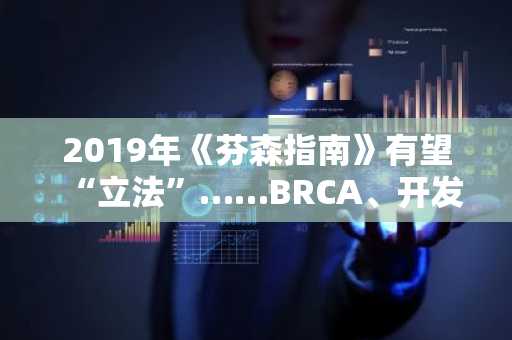 2019年《芬森指南》有望“立法”……BRCA、开发者、钱包及节点“资金中介”指控或将终结