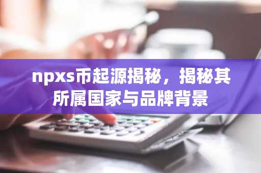 npxs币起源揭秘，揭秘其所属国家与品牌背景