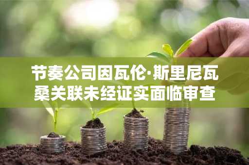 节奏公司因瓦伦·斯里尼瓦桑关联未经证实面临审查
