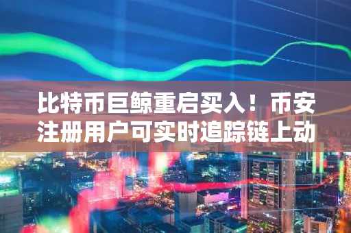 比特币巨鲸重启买入！币安注册用户可实时追踪链上动向
