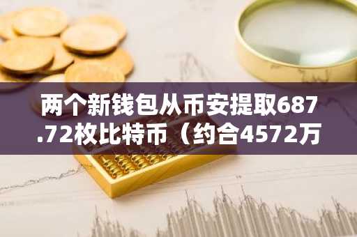 两个新钱包从币安提取687.72枚比特币（约合4572万美元）