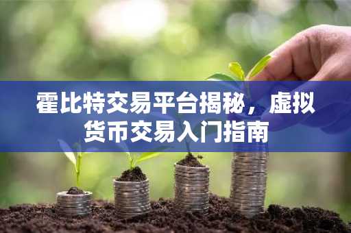 霍比特交易平台揭秘，虚拟货币交易入门指南