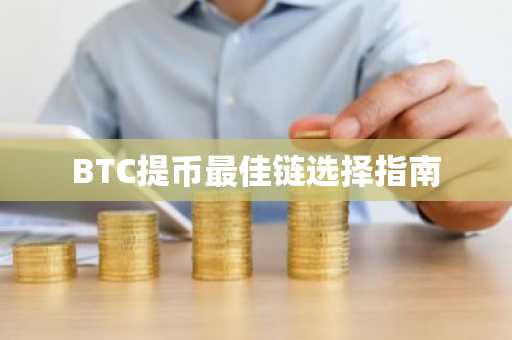 BTC提币最佳链选择指南