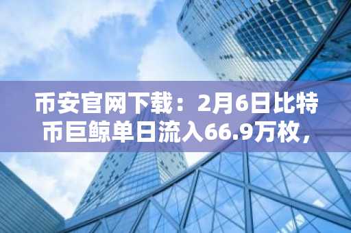 币安官网下载：2月6日比特币巨鲸单日流入66.9万枚，布局信号明确