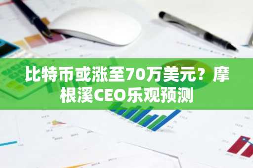 比特币或涨至70万美元？摩根溪CEO乐观预测