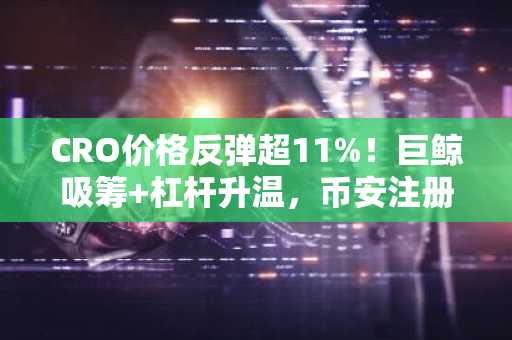 CRO价格反弹超11%!巨鲸吸筹 杠杆升温,币安注册入口速览