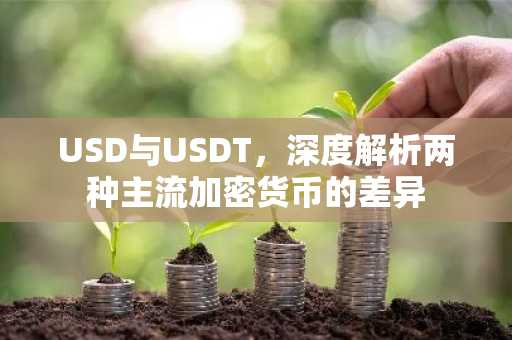 USD与USDT，深度解析两种主流加密货币的差异