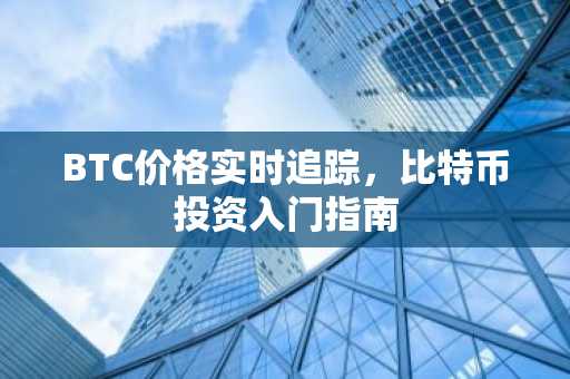 BTC价格实时追踪，比特币投资入门指南