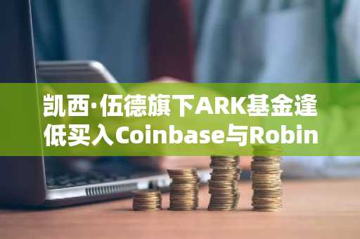 凯西·伍德旗下ARK基金逢低买入Coinbase与Robinhood——两只股票现双双飙升