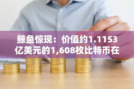 鲸鱼惊现：价值约1.1153亿美元的1,608枚比特币在未知钱包间大额转移