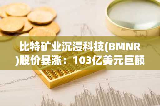 比特矿业沉浸科技(BMNR)股价暴涨：103亿美元巨额储备注入强心剂