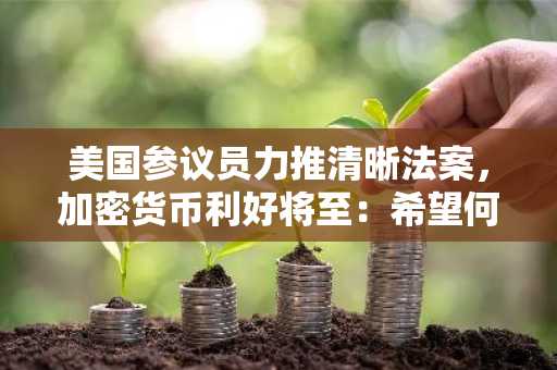 美国参议员力推清晰法案，加密货币利好将至：希望何在？