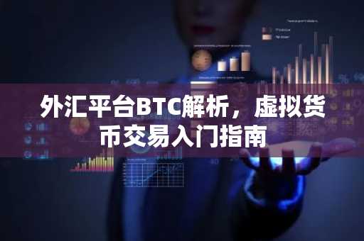 外汇平台BTC解析，虚拟货币交易入门指南