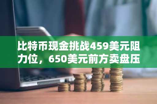 比特币现金挑战459美元阻力位，650美元前方卖盘压力积聚