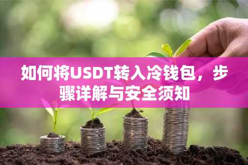 如何将USDT转入冷钱包，步骤详解与安全须知