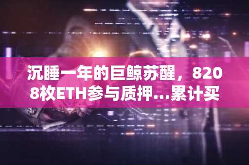 沉睡一年的巨鲸苏醒，8208枚ETH参与质押…累计买入收益达48万美元