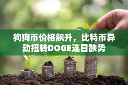 狗狗币价格飙升，比特币异动扭转DOGE连日跌势