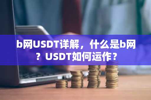 b网USDT详解，什么是b网？USDT如何运作？