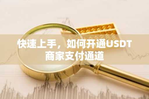 快速上手，如何开通USDT商家支付通道