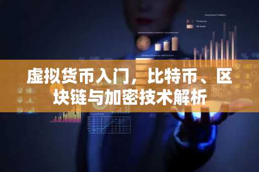 虚拟货币入门，比特币、区块链与加密技术解析