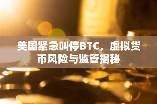 美国紧急叫停BTC，虚拟货币风险与监管揭秘