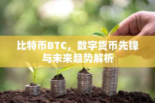 比特币BTC，数字货币先锋与未来趋势解析