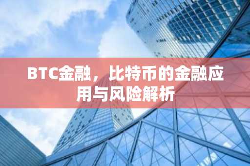 BTC金融，比特币的金融应用与风险解析