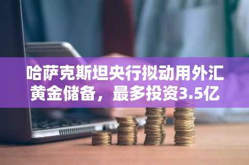 哈萨克斯坦央行拟动用外汇黄金储备，最多投资3.5亿美元于虚拟资产
