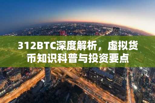 312BTC深度解析，虚拟货币知识科普与投资要点